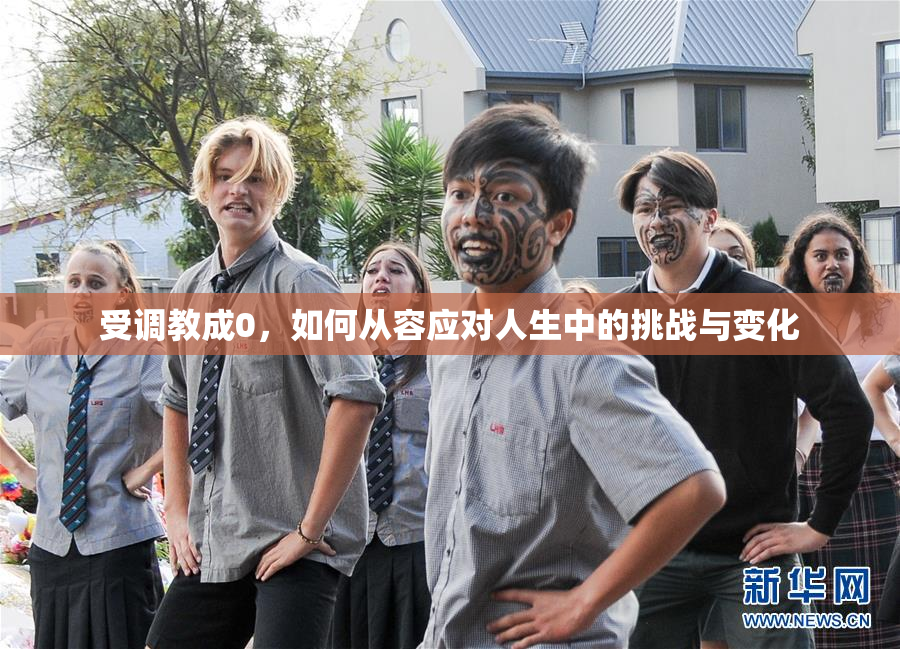 受调教成0，如何从容应对人生中的挑战与变化