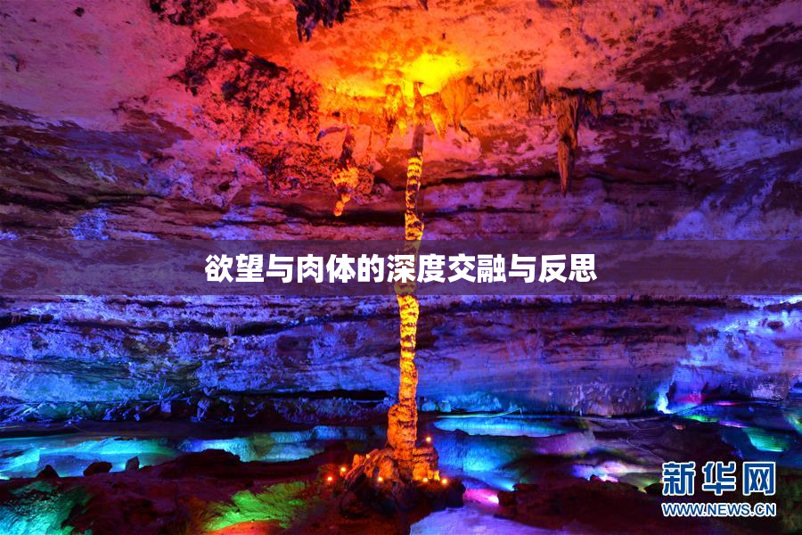 欲望与肉体的深度交融与反思
