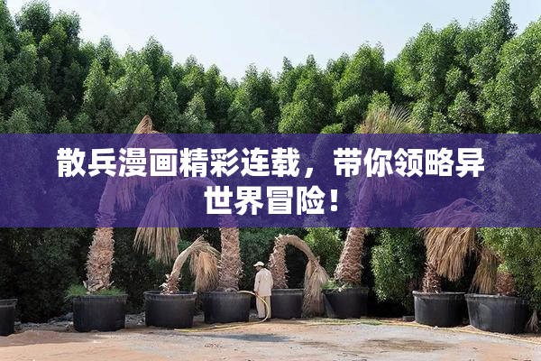 散兵漫画精彩连载，带你领略异世界冒险！