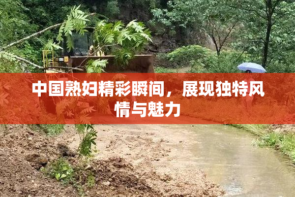 中国熟妇精彩瞬间，展现独特风情与魅力
