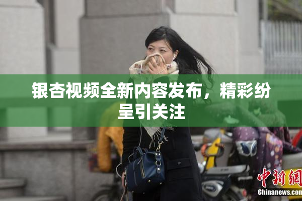 银杏视频全新内容发布，精彩纷呈引关注