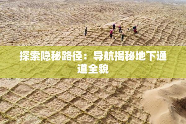 探索隐秘路径：导航揭秘地下通道全貌