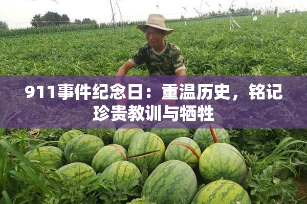 911事件纪念日：重温历史，铭记珍贵教训与牺牲
