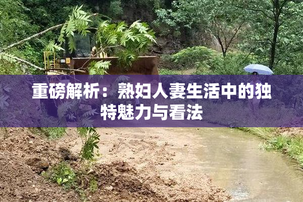 重磅解析：熟妇人妻生活中的独特魅力与看法
