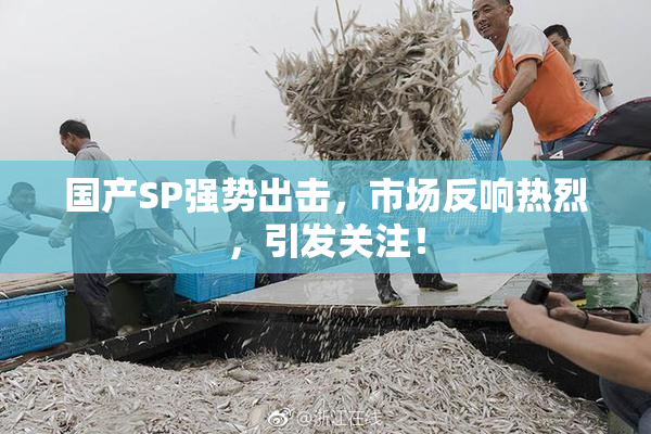 国产SP强势出击，市场反响热烈，引发关注！