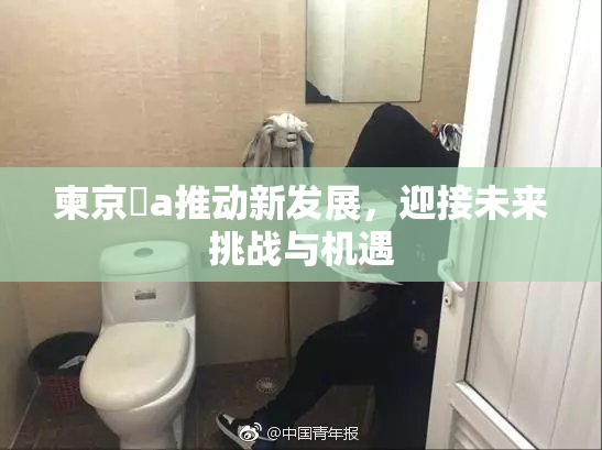 柬京埶a推动新发展，迎接未来挑战与机遇