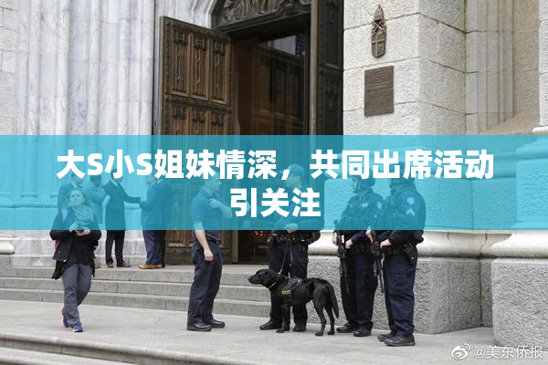 大S小S姐妹情深，共同出席活动引关注