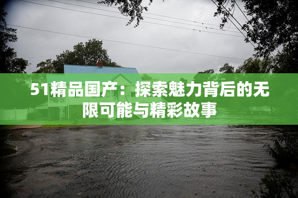 51精品国产：探索魅力背后的无限可能与精彩故事