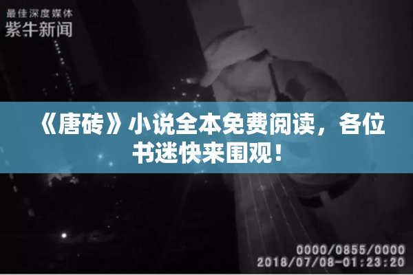 《唐砖》小说全本免费阅读，各位书迷快来围观！