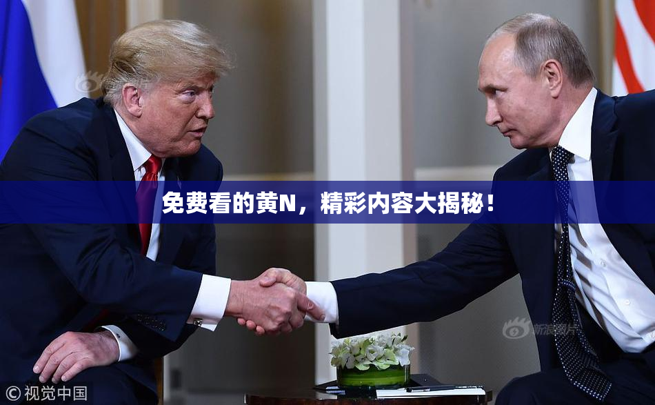免费看的黄Ν，精彩内容大揭秘！
