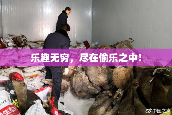 乐趣无穷，尽在偷乐之中！