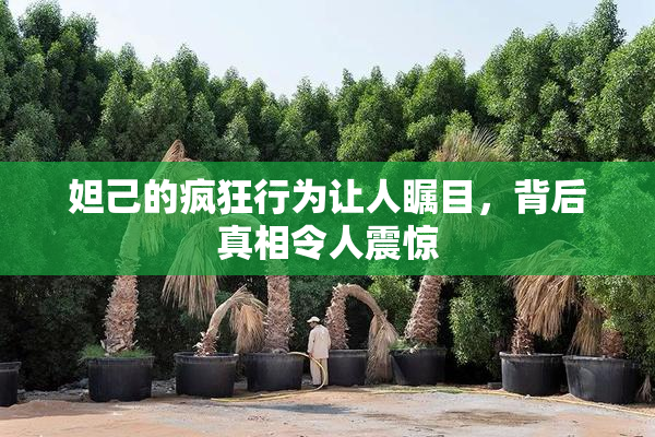 妲己的疯狂行为让人瞩目，背后真相令人震惊