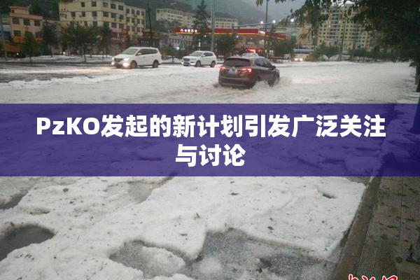 PzKO发起的新计划引发广泛关注与讨论