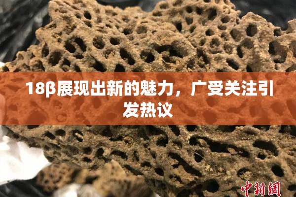 18β展现出新的魅力，广受关注引发热议