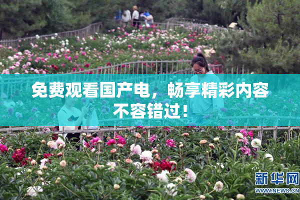免费观看国产电，畅享精彩内容不容错过！