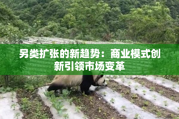 另类扩张的新趋势：商业模式创新引领市场变革