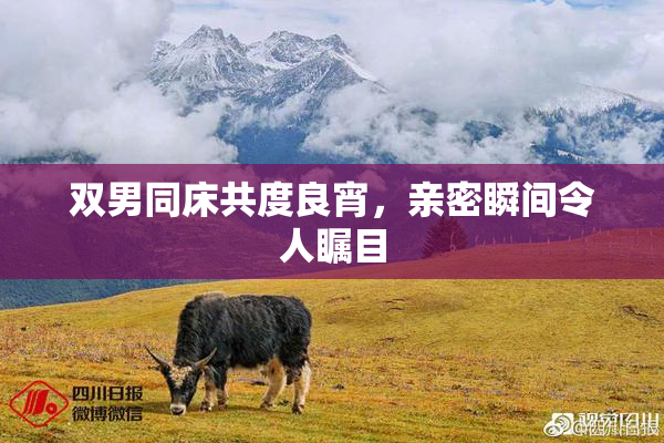 双男同床共度良宵，亲密瞬间令人瞩目