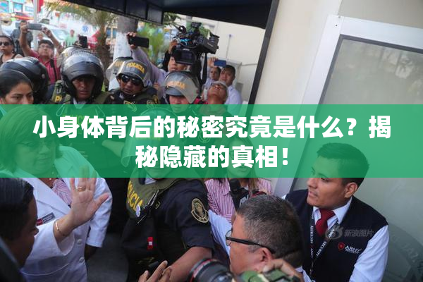 小身体背后的秘密究竟是什么？揭秘隐藏的真相！