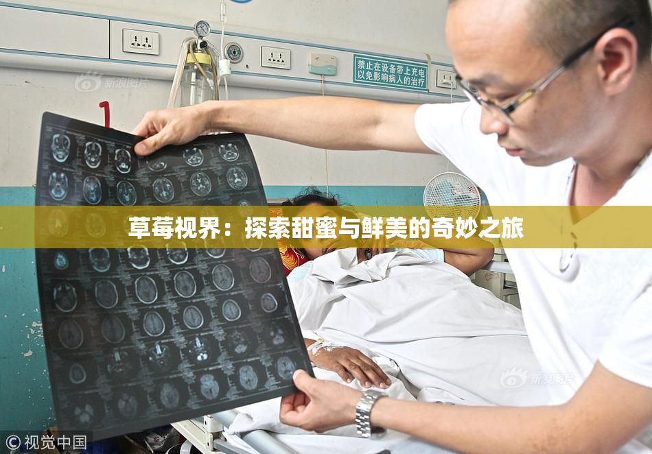 草莓视界：探索甜蜜与鲜美的奇妙之旅