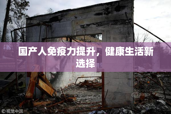 国产人免疫力提升，健康生活新选择