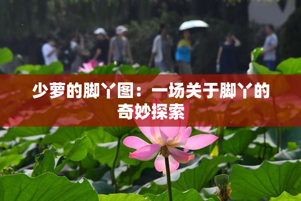 少萝的脚丫图：一场关于脚丫的奇妙探索