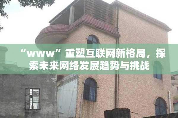 “www”重塑互联网新格局，探索未来网络发展趋势与挑战