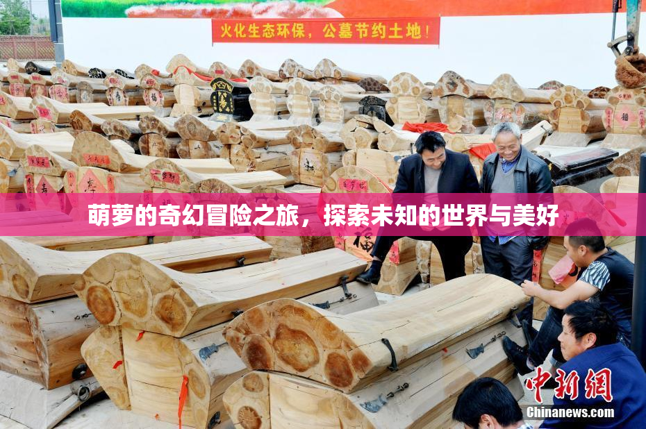 萌萝的奇幻冒险之旅，探索未知的世界与美好