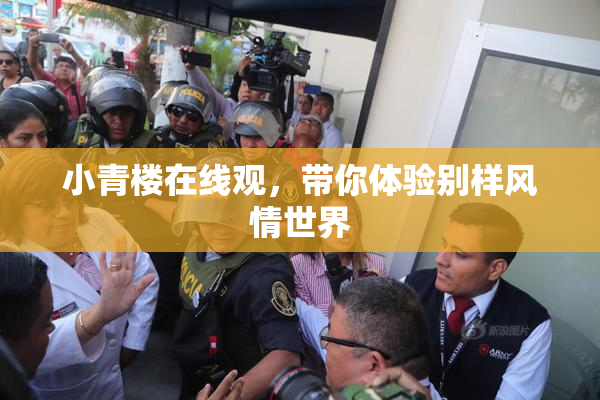 小青楼在线观，带你体验别样风情世界