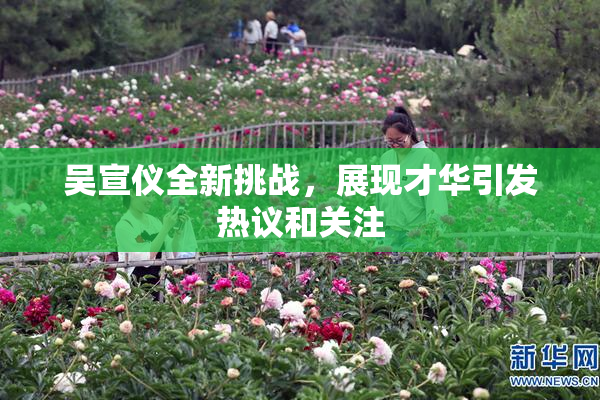 吴宣仪全新挑战，展现才华引发热议和关注