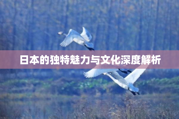 日本的独特魅力与文化深度解析