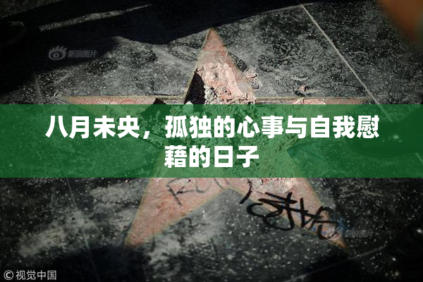八月未央，孤独的心事与自我慰藉的日子