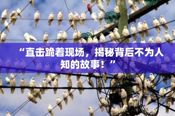 “直击跪着现场，揭秘背后不为人知的故事！”