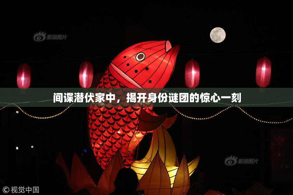 间谍潜伏家中，揭开身份谜团的惊心一刻