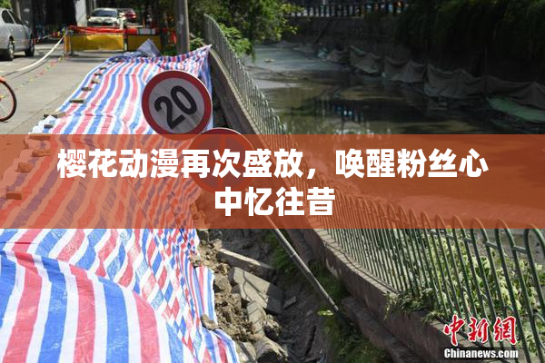 樱花动漫再次盛放，唤醒粉丝心中忆往昔