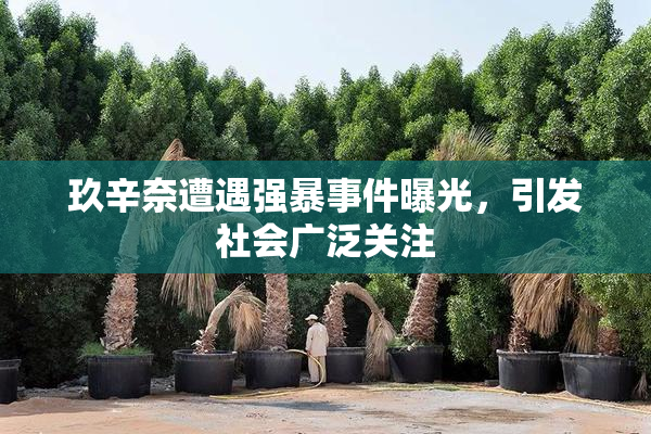 玖辛奈遭遇强暴事件曝光，引发社会广泛关注