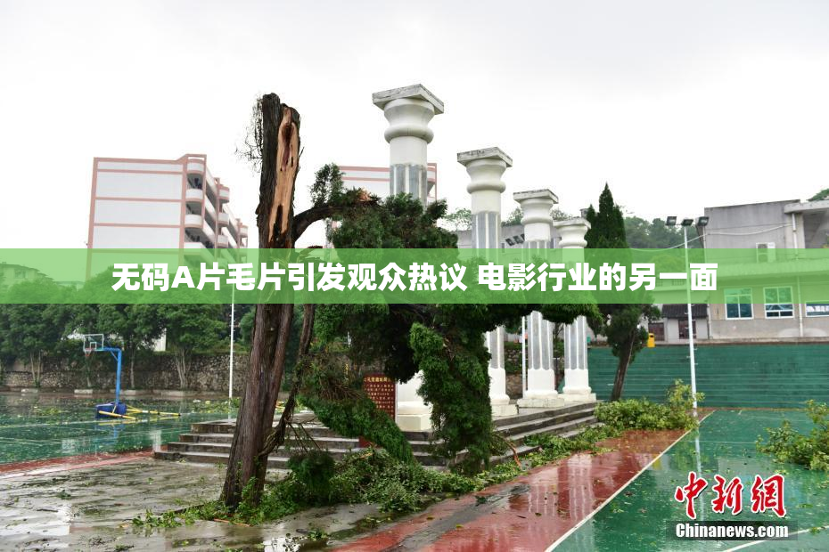无码A片毛片引发观众热议 电影行业的另一面