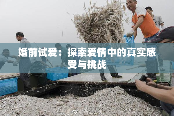 婚前试爱：探索爱情中的真实感受与挑战