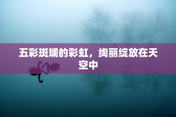 五彩斑斓的彩虹，绚丽绽放在天空中