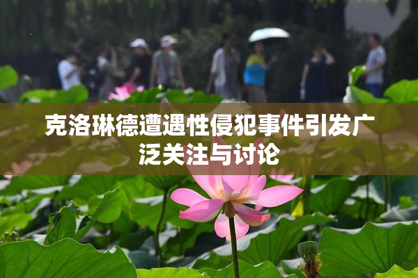 克洛琳德遭遇性侵犯事件引发广泛关注与讨论