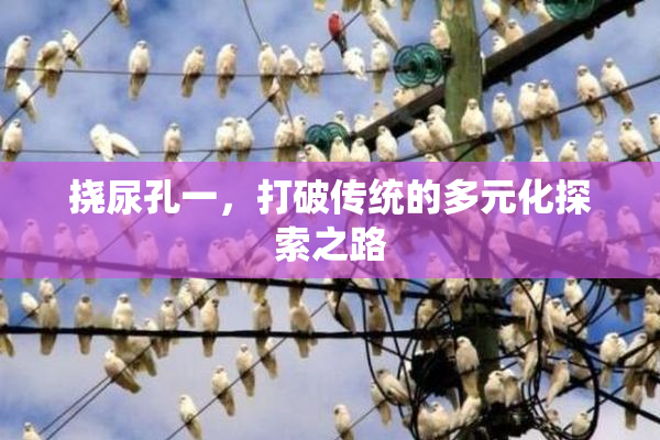 挠尿孔一，打破传统的多元化探索之路