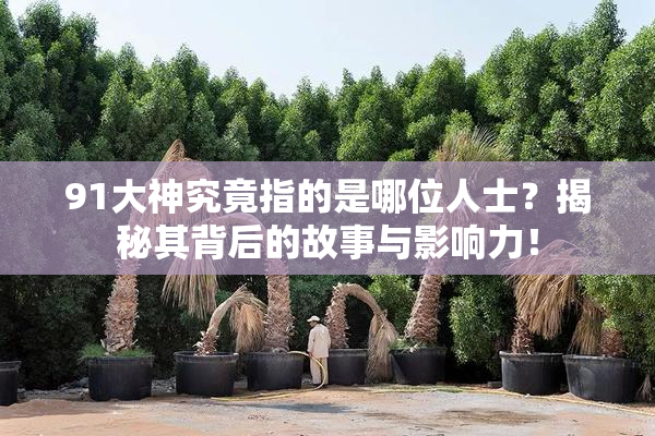 91大神究竟指的是哪位人士？揭秘其背后的故事与影响力！
