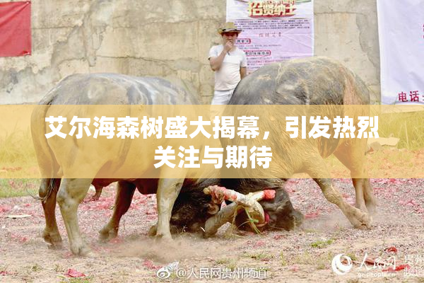 艾尔海森树盛大揭幕，引发热烈关注与期待