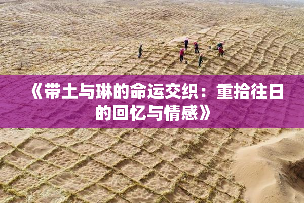 《带土与琳的命运交织：重拾往日的回忆与情感》