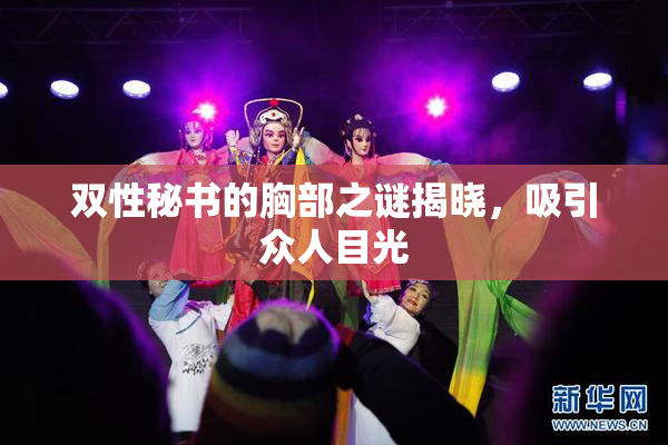 双性秘书的胸部之谜揭晓，吸引众人目光