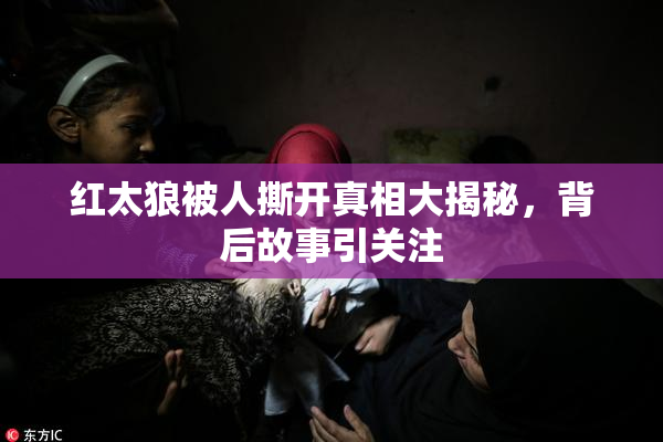 红太狼被人撕开真相大揭秘，背后故事引关注