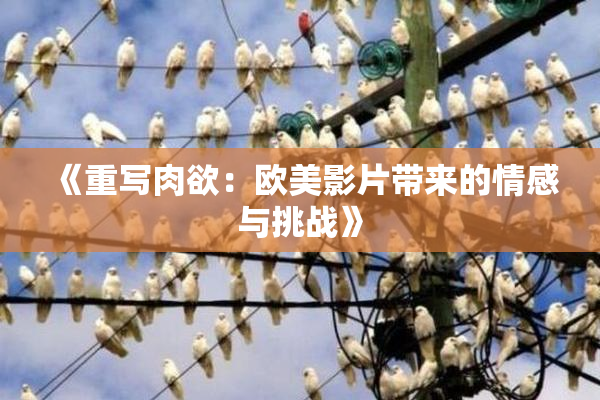 《重写肉欲：欧美影片带来的情感与挑战》