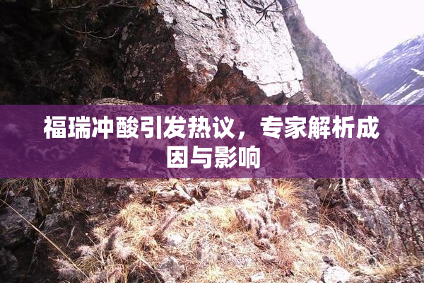 福瑞冲酸引发热议，专家解析成因与影响