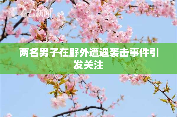 两名男子在野外遭遇袭击事件引发关注