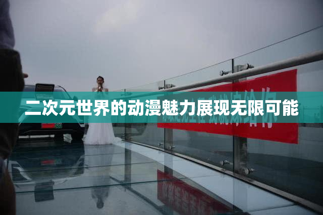 二次元世界的动漫魅力展现无限可能