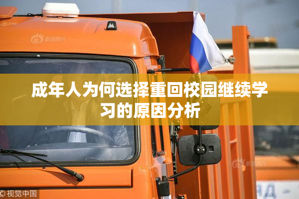 成年人为何选择重回校园继续学习的原因分析